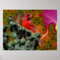 Cardinals Dreams posters