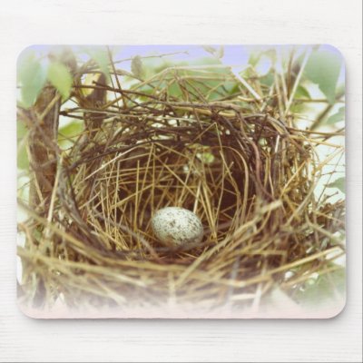 Cardinal's Egg Mousepad by naturegirl7