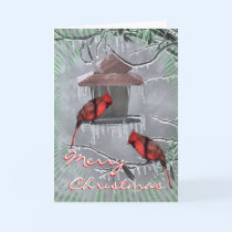 Cardinals-icyfeeder-customize. by MakaraPhotos Cardinals-icyfeeder-customize.