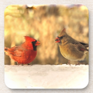Cardinals in Autumn Coasters