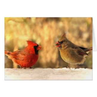 Cardinals in Autumn Greeting Cards