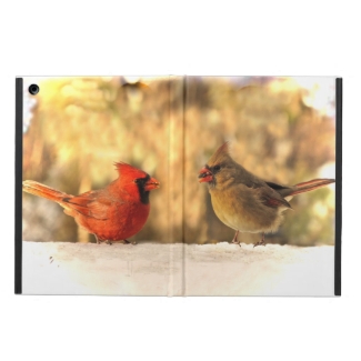 Cardinals in Autumn iPad Air Case