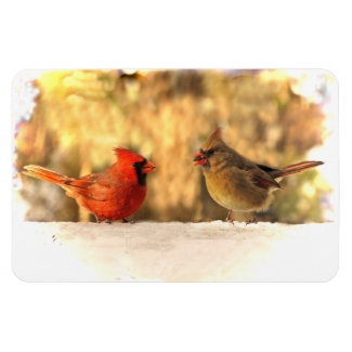 Cardinals in Autumn Magnet