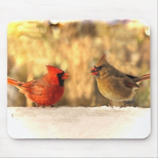 Cardinals in Autumn Mousepad