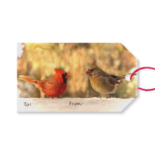 Cardinals in Autumn Pack of Gift Tags