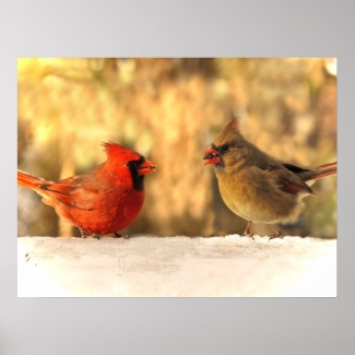 Cardinals in Autumn Print