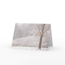cardinals_in_snow