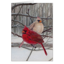 Cardinals in the Snow Blank Card by twrclinic Cardinals in the Snow Blank Card