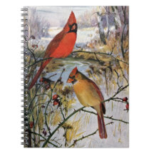 Cardinals in Winter Note Books