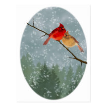 cardinals in winter post cards