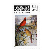 Cardinals in Winter Postage Stamp