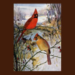 Cardinals in Winter posters