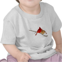 cardinals on a branch tees