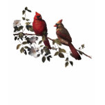 Cardinals