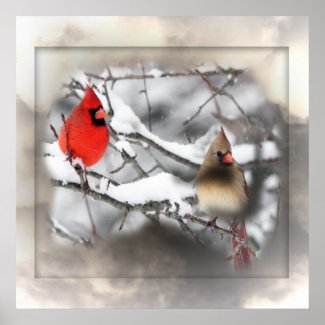 Cardinals Winter Scene Poster