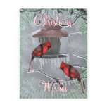 CardinalsIcyFeederPostcard-customize