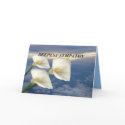 CARDS by corndoggie CARDS