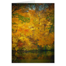 Cards Autumn in the Ozarks