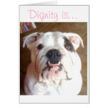 Cards for All occasions
