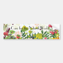 Care for the Natural World Bumper Sticker