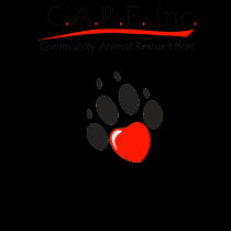 CARE tank-top t-shirts