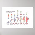 Career Evolution Poster posters