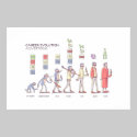 Career Evolution Poster - Huge posters