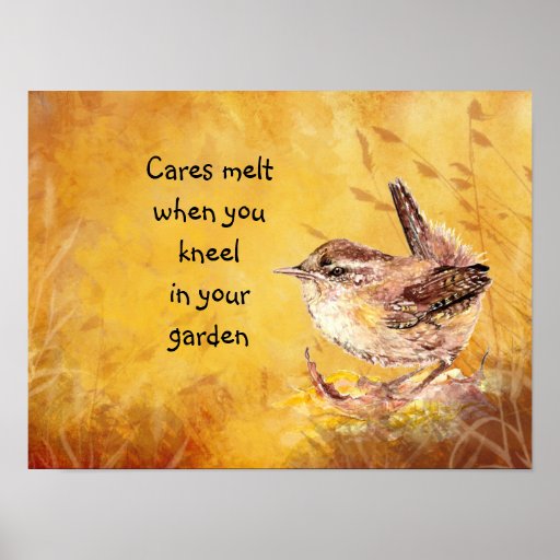 Cares melt when you kneel in your garden Bird Wren Poster | Zazzle
