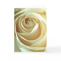 Caress cards