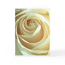 Caress cards