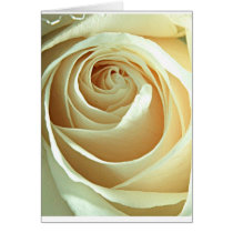 Caress cards