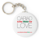 CARIAD KEY CHAIN