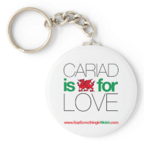 CARIAD KEYCHAIN