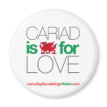 CARIAD magnets
