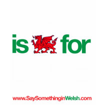 CARIAD t-shirts by SSIWelsh CARIAD t-shirts