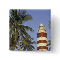 Caribbean, Bahamas, Abaco, Elbow Cay. Hopetown Buttons