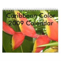 Caribbean Color...The Flowers Calender 2009 calendars