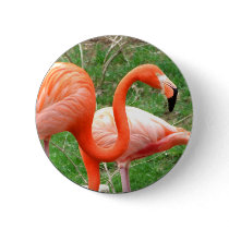 Caribbean Flamingo Button