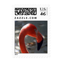 Caribbean Flamingo Postage Stamps