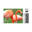 Caribbean Flamingo Postage Stamps stamp