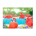 Caribbean Flamingos t-shirts by twopurringcats Caribbean Flamingos t-shirts