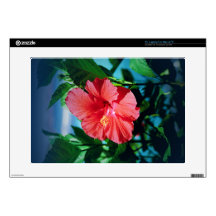 Caribbean flower decals for laptops