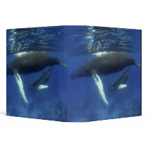 Caribbean, Greater Antilles archipelago, 3 Ring Binder