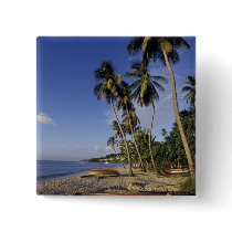 CARIBBEAN, Grenada, St. George, Boats on palm