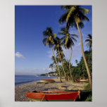 CARIBBEAN, Grenada, St. George, Boats on palm Posters