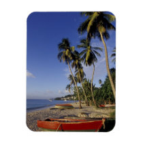 CARIBBEAN, Grenada, St. George, Boats on palm