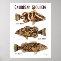 Caribbean Groupers Print