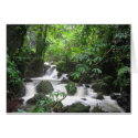 Caribbean Island Dominica Card