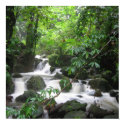 Caribbean Island Dominica Poster posters