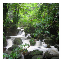 Caribbean Island Dominica Poster posters by dlgray Caribbean Island Dominica Poster posters